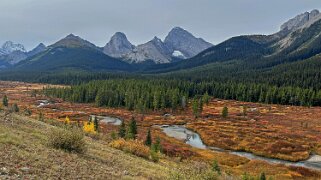Parc Provincial de Spray Valley